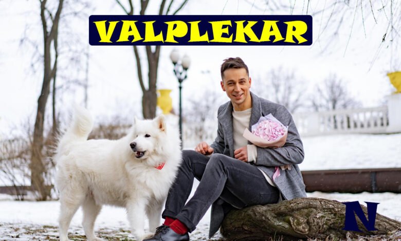 Valplekar