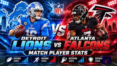 detroit lions vs atlanta falcons match player stats